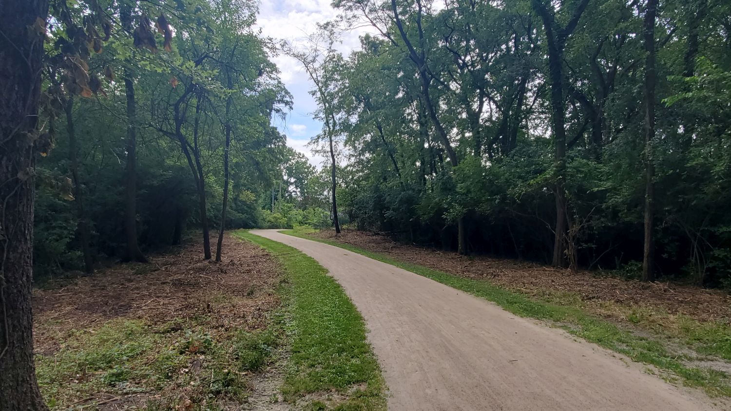 Saint James Forest Preserve 